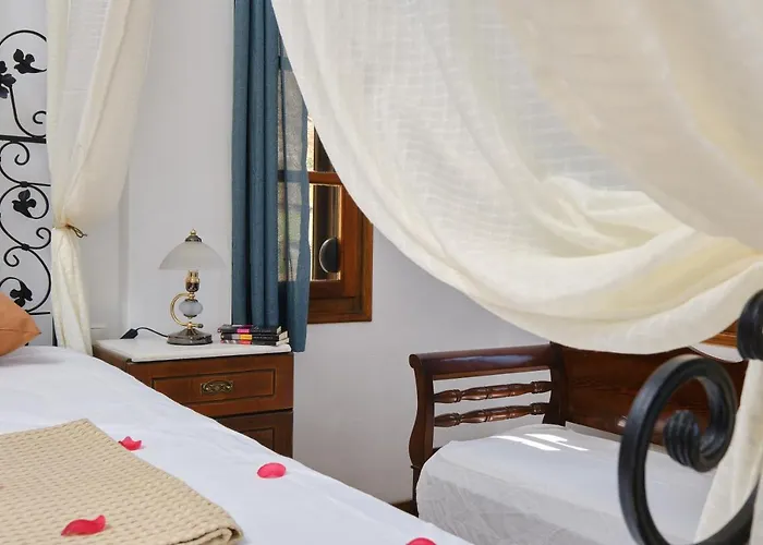 Private Evgenia With Swimming Pool Villa *